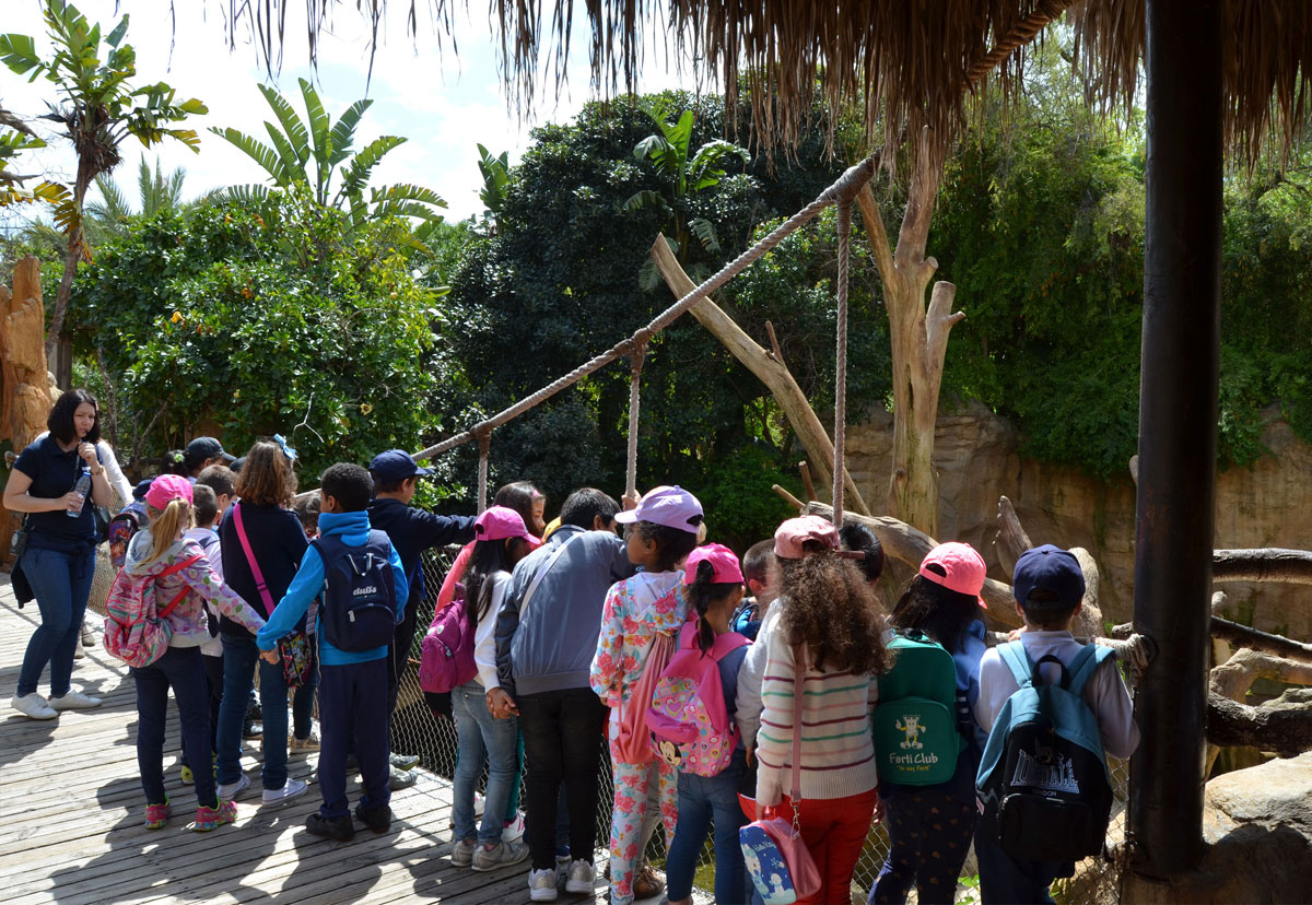 BIOPARC Fuengirola, apuesta de futuro por la educación para la Conservación