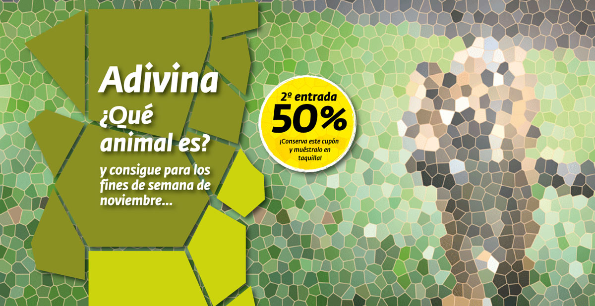 Adivina adivinanza y consigue tu segunda entrada a mitad de precio en noviembre