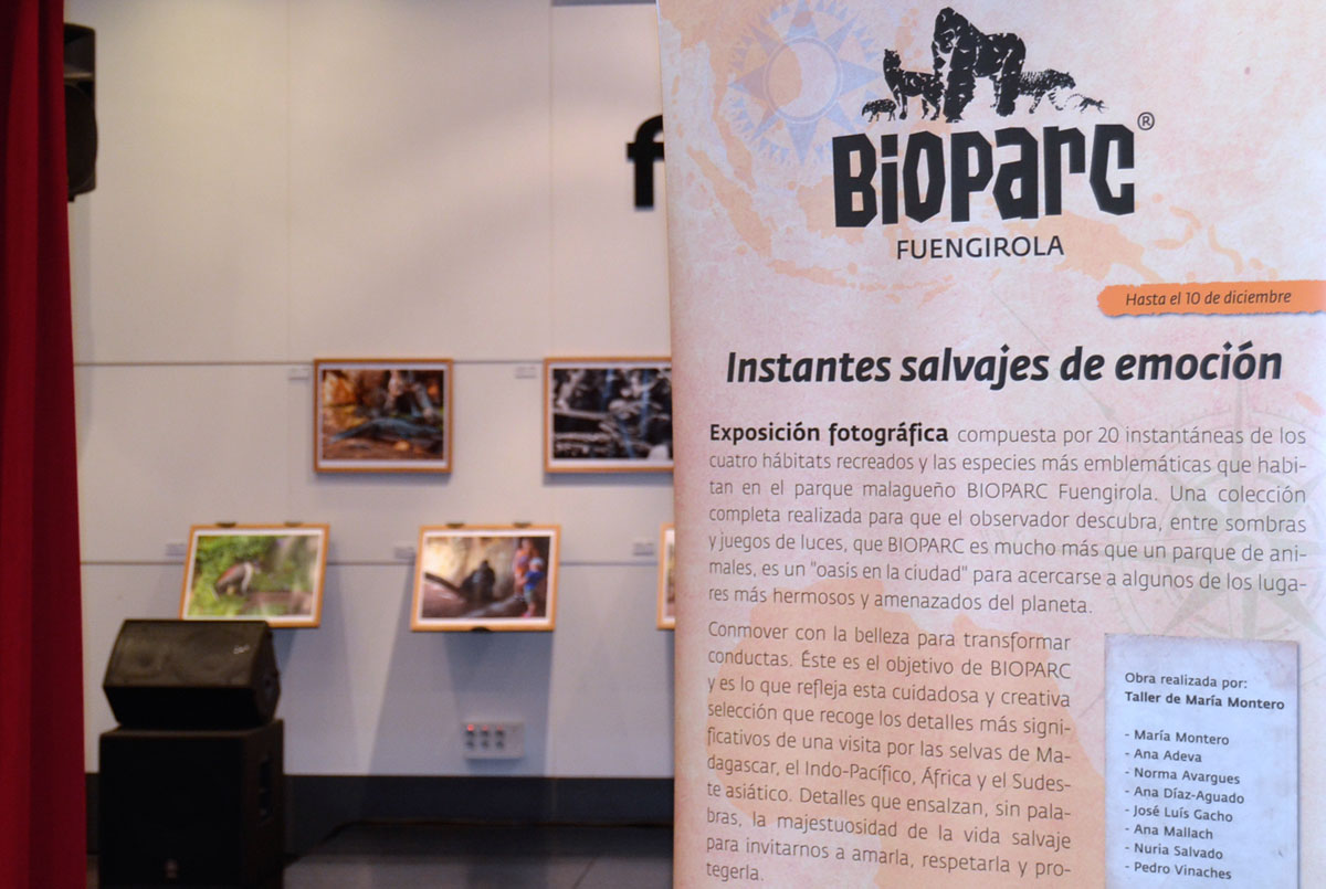 Inauguración de la exposición “Instantes salvajes de Emoción” de BIOPARC en Fnac Málaga y Fnac Marbella