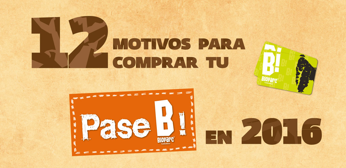 12 motivos para comprar tu Pase B! en 2016