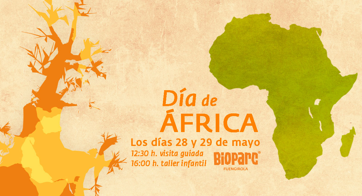 El día de África ¡lo celebramos en la selva!