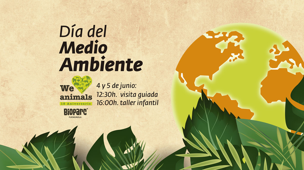 Actividades por el día mundial del Medio Ambiente