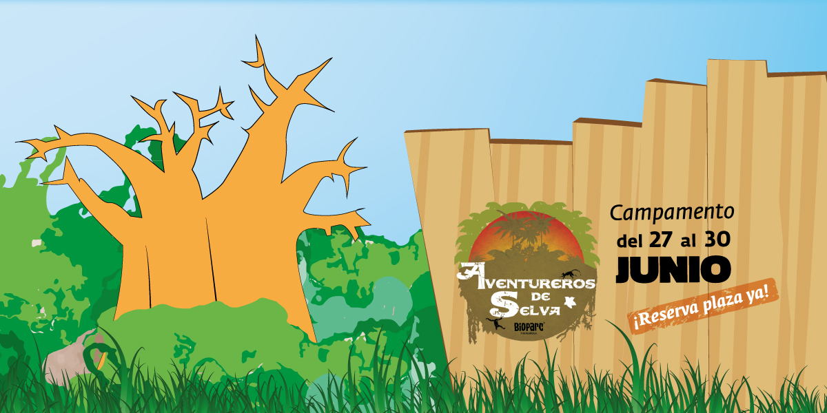 Celebra el fin de curso con un campamento original para tus hijos