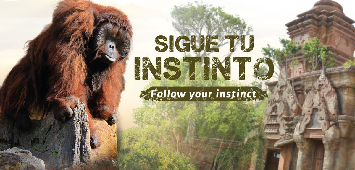 Este verano sigue tu instinto