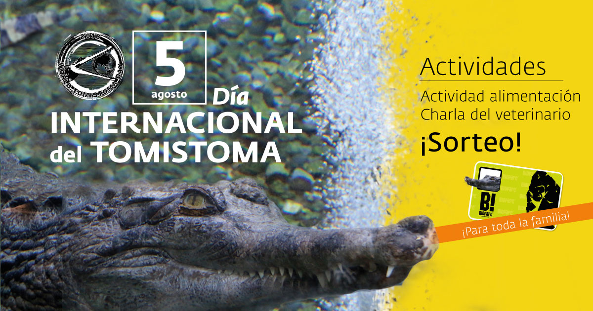 El mundo celebra por primera vez el Día Internacional del Tomistoma