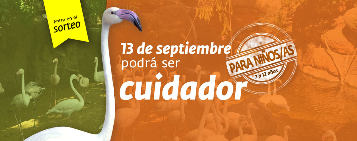 II Edición del anillamiento de flamencos en Bioparc!