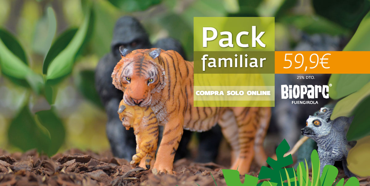 La vuelta al cole más divertida