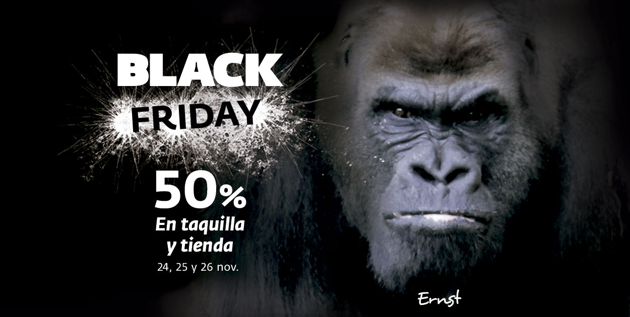 Lo mejor del Black friday