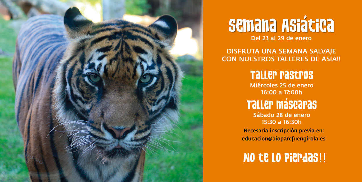 Semana Asiática en BIOPARC Fuengirola