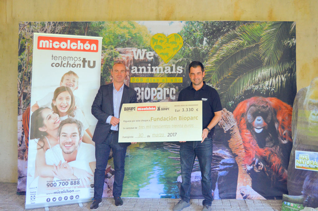 La empresa malagueña Micolchón dona 3.330 euros a la Fundación Bioparc para la conservación del Orangután de Borneo