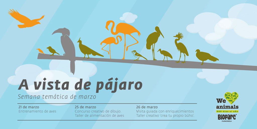 Semana temática de marzo ‘a vista de pájaro’