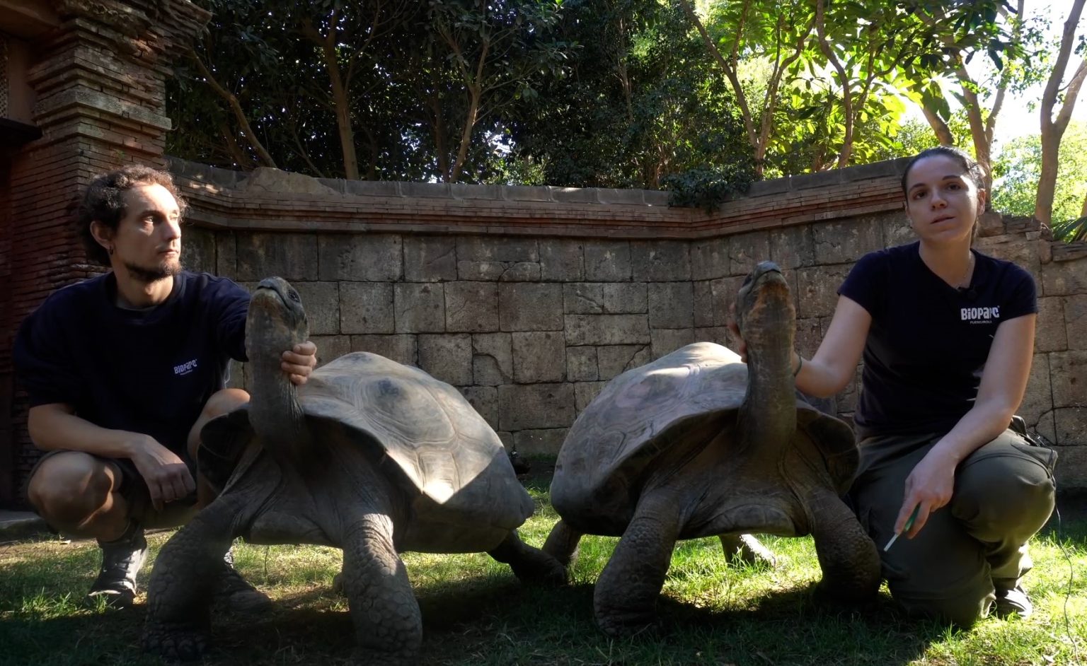 El equipo de Herpetología nos cuenta en qué consiste el entrenamiento ...