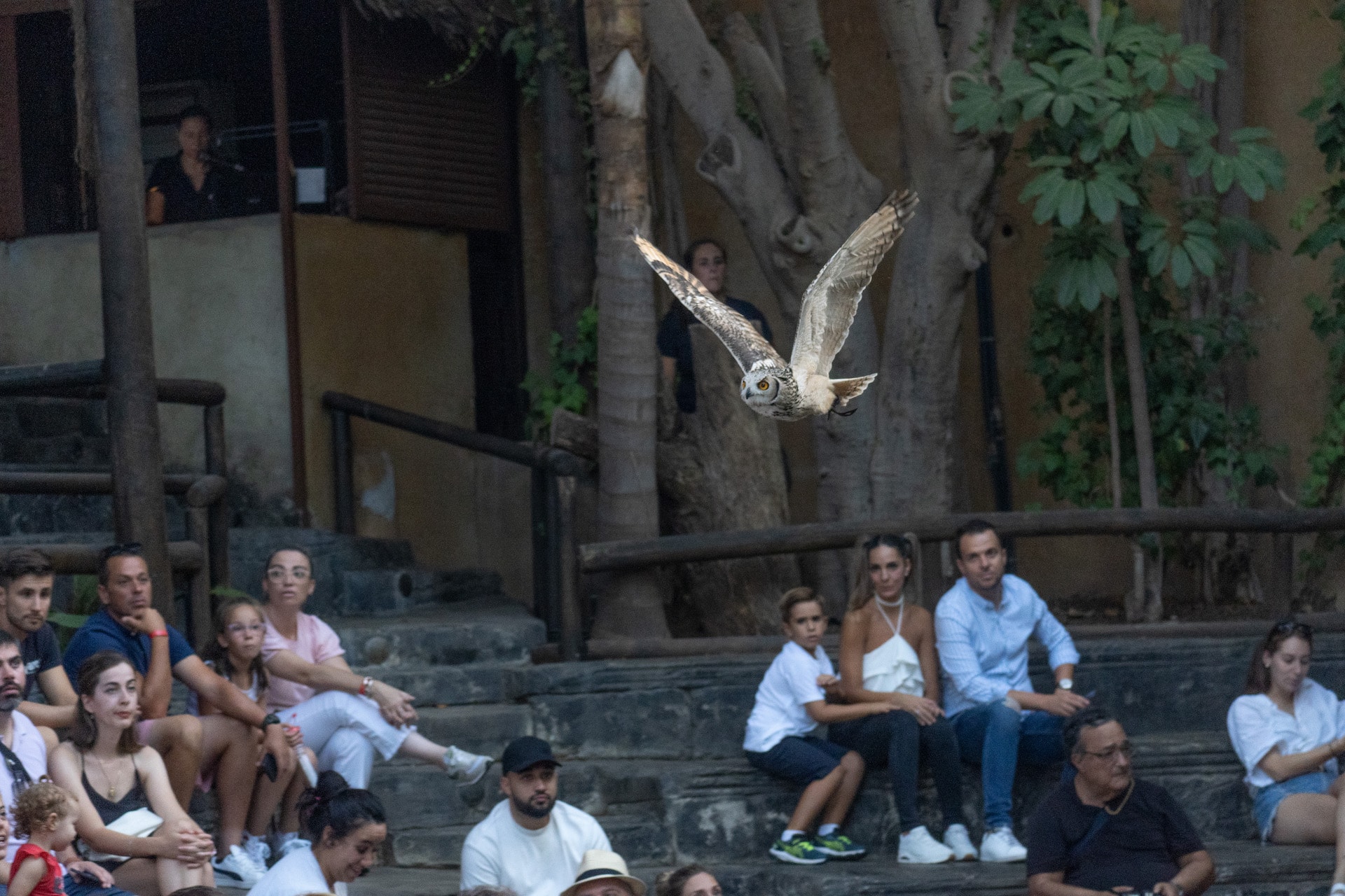 Exhibición de aves y mamíferos