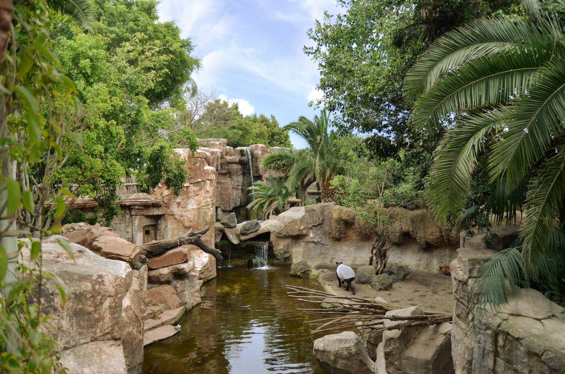 TAPIRBIOPARC FUENGIROLA (15)