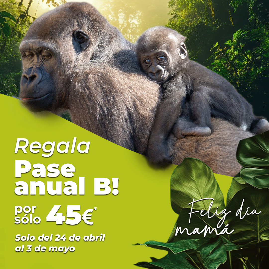 promoción pase anual bioparc fuengirola