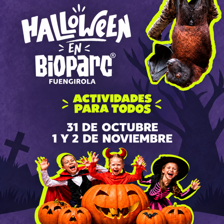 Banner Halloween Bioparc con actividades reducidas