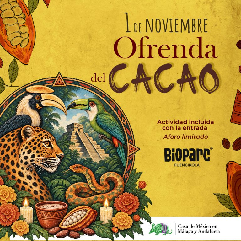 CACAO_1080x1080