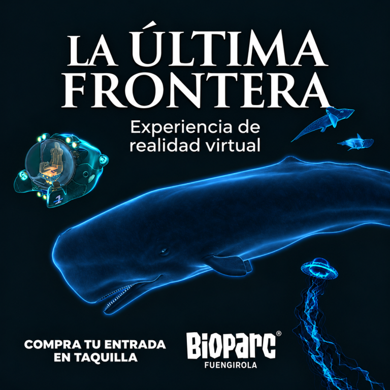 La última frontera submarina