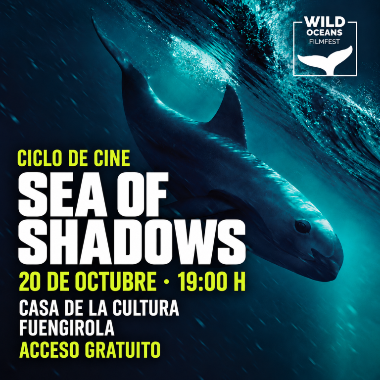 Sea of Shadows · 19_00 H